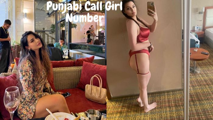 Punjabi Call Girl Number