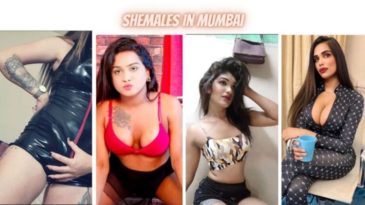 Shemale in Mumbai 4