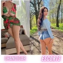 chandigarh escorts
