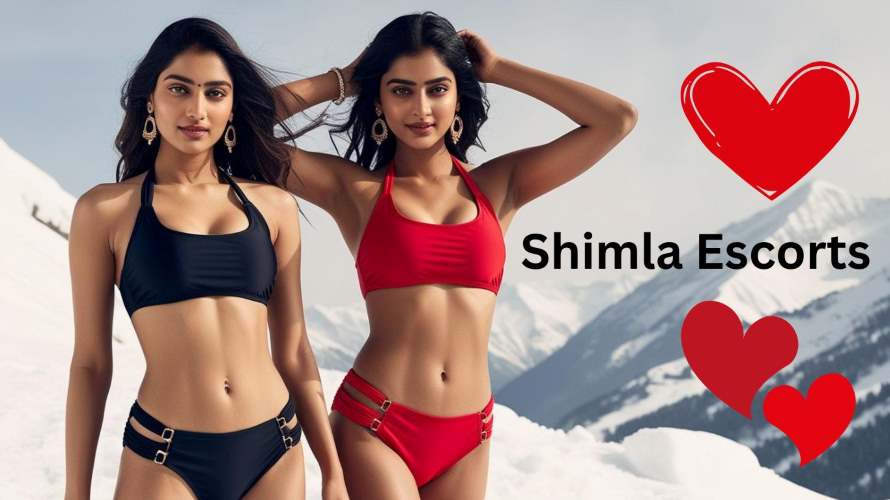 Shimla Escort Service